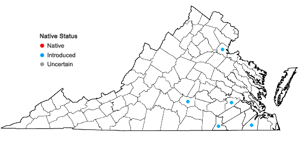 Locations ofCosmos bipinnatus Cav. in Virginia