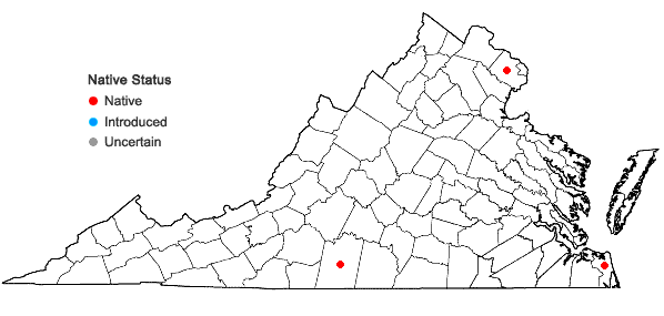 Locations ofCrataegus berberifolia Torr. & Gray in Virginia