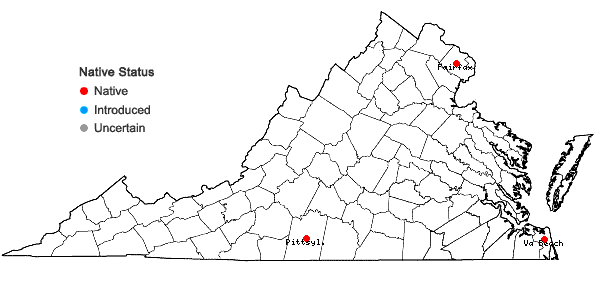 Locations ofCrataegus berberifolia Torr. & Gray in Virginia