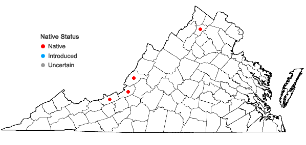 Locations ofCrataegus compacta Sargent in Virginia