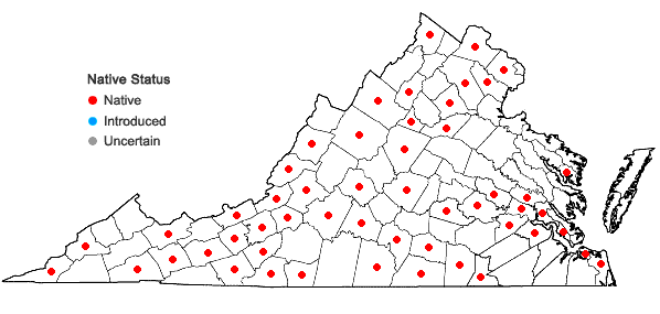 Locations ofCrataegus crus-galli L. var. crus-galli in Virginia