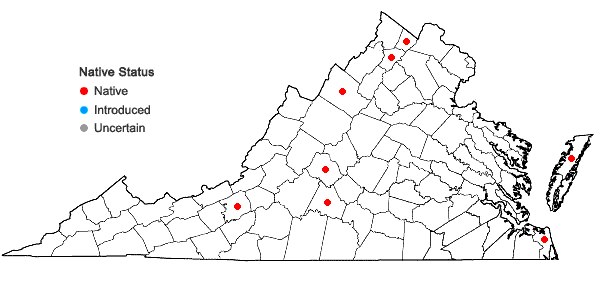 Locations ofCrataegus crus-galli L. var. pyracanthifolia Aiton in Virginia