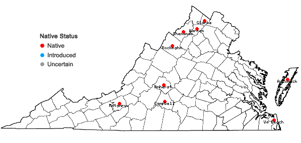 Locations ofCrataegus crus-galli L. var. pyracanthifolia Aiton in Virginia