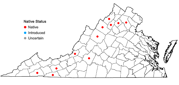 Locations ofCrataegus dodgei Ashe in Virginia