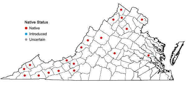 Locations ofCrataegus intricata Lange var. biltmoreana (Beadle) R.W. Lance in Virginia