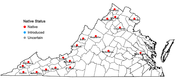 Locations ofCrataegus intricata Lange var. biltmoreana (Beadle) R.W. Lance in Virginia