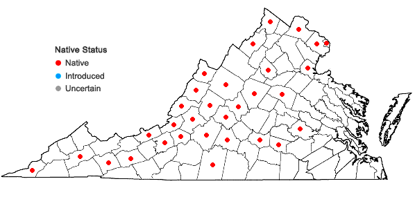 Locations ofCrataegus intricata Lange var. intricata in Virginia