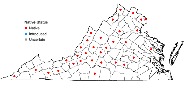 Locations ofCrataegus intricata Lange var. intricata in Virginia