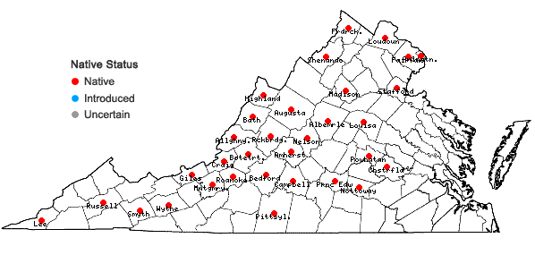 Locations ofCrataegus intricata Lange var. intricata in Virginia