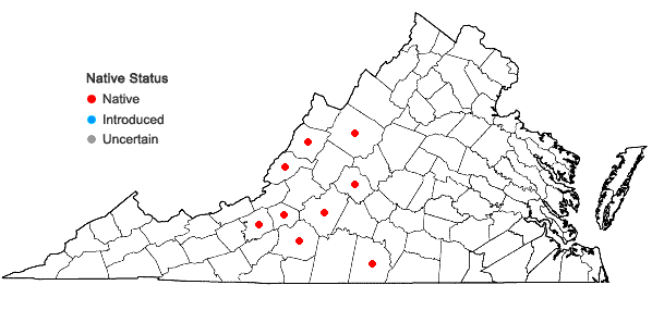 Locations ofCrataegus intricata Lange var. rubella (Beadle) Kruschke in Virginia