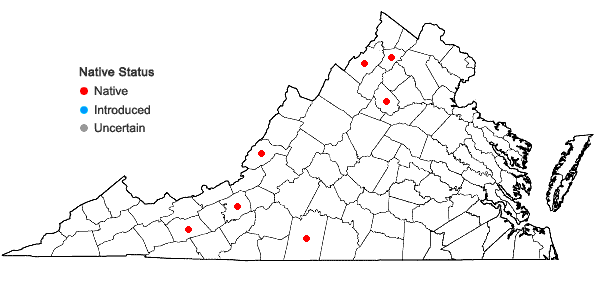 Locations ofCrataegus intricata Lange var. straminea (Beadle) E.J. Palmer in Virginia