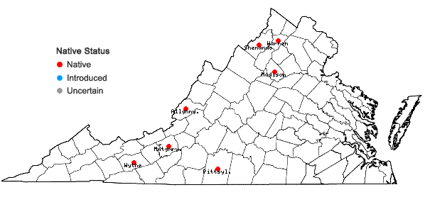 Locations ofCrataegus intricata Lange var. straminea (Beadle) E.J. Palmer in Virginia