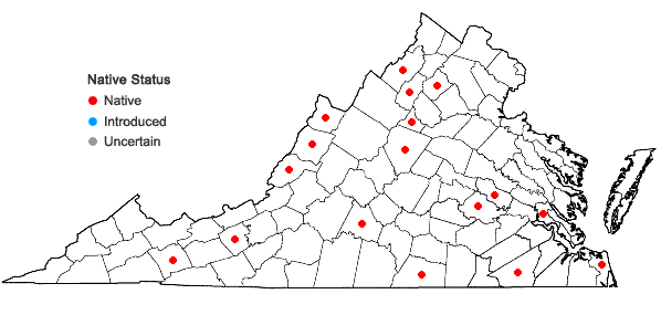 Locations ofCrataegus iracunda Beadle in Virginia