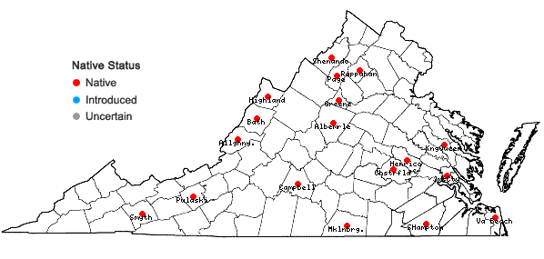 Locations ofCrataegus iracunda Beadle in Virginia
