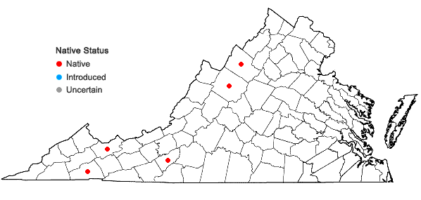 Locations ofCrataegus macracantha Lodd. in Virginia