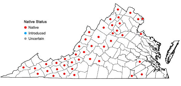 Locations ofCrataegus macrosperma Ashe in Virginia