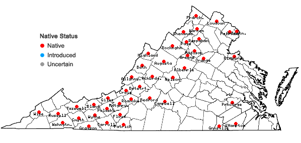 Locations ofCrataegus macrosperma Ashe in Virginia