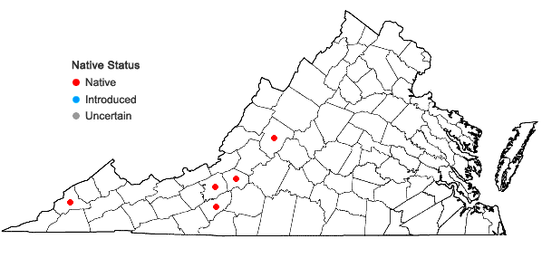 Locations ofCrataegus mollis Scheele var. mollis in Virginia