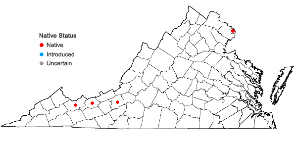 Locations ofCrataegus pennsylvanica Ashe in Virginia