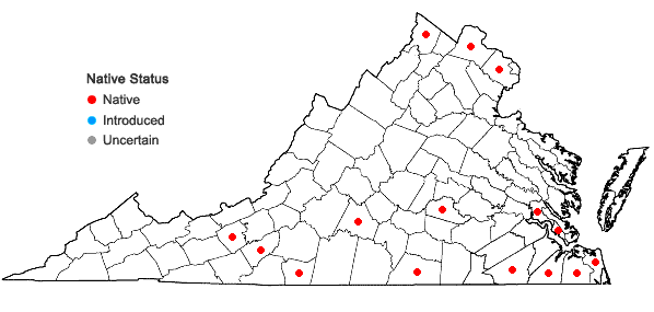 Locations ofCrataegus phaenopyrum (L. f.) Medik. in Virginia