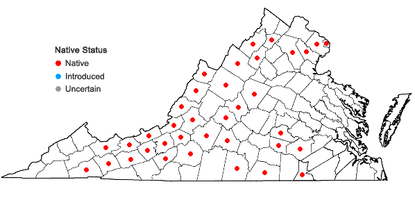 Locations ofCrataegus pruinosa (Wendl. f.) K. Koch var. pruinosa in Virginia