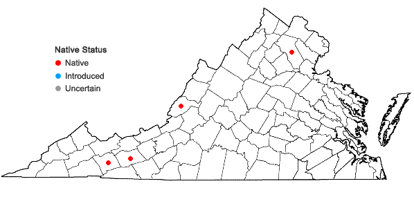 Locations ofCrataegus pruinosa (Wendl. f.) K. Koch var. dissona (Sarg.) Eggelstone in Virginia