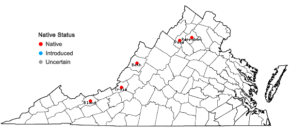 Locations ofCrataegus pruinosa (Wendl. f.) K. Koch var. parvula (Sarg.) Phipps in Virginia