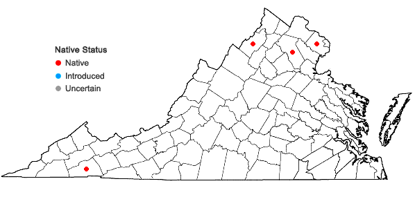 Locations ofCrataegus pruinosa (Wendl. f.) K. Koch var. rugosa (Ashe) Kruschke in Virginia