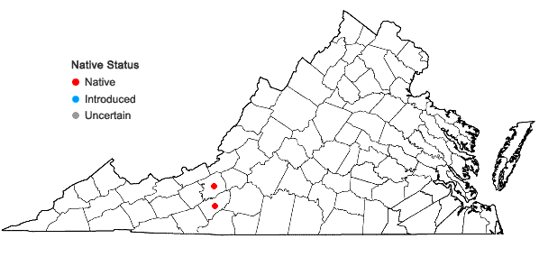 Locations ofCrataegus pruinosa (Wendl. f.) K. Koch var. gattingeri (Ashe) R.W. Lance in Virginia