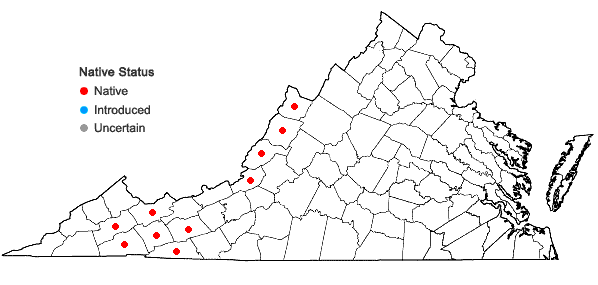 Locations ofCrataegus punctata Jacq. in Virginia