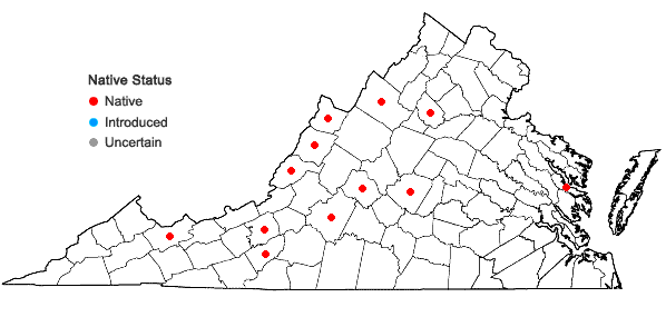 Locations ofCrataegus schuettei Ashe in Virginia