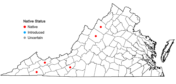 Locations ofCrataegus succulenta Schrad. ex Link var. macracantha (Lodd. ex Loudon) Eggleston in Virginia