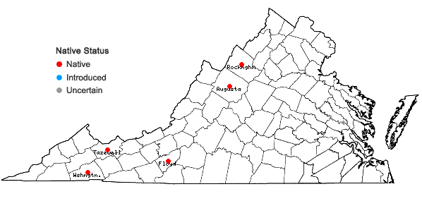 Locations ofCrataegus succulenta Schrad. ex Link var. macracantha (Lodd. ex Loudon) Eggleston in Virginia