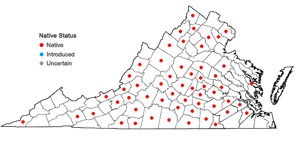 Locations ofCrataegus uniflora Muenchh. in Virginia