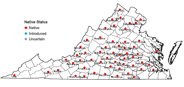 Locations ofCrataegus uniflora Muenchh. in Virginia