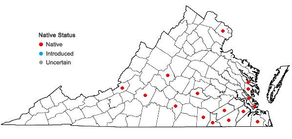 Locations ofCrataegus viridis L. var. viridis in Virginia