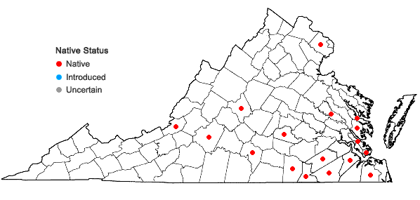 Locations ofCrataegus viridis L. var. viridis in Virginia