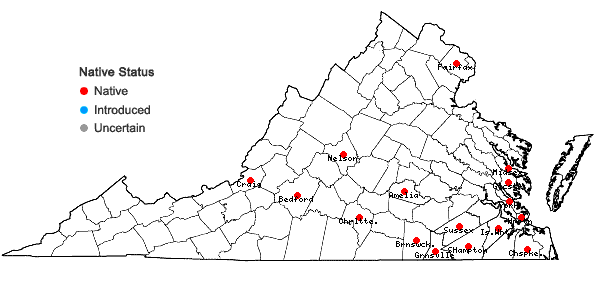 Locations ofCrataegus viridis L. var. viridis in Virginia