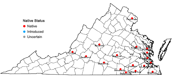 Locations ofCrataegus viridis L. var. viridis in Virginia