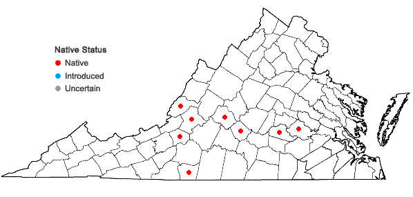 Locations ofCrataegus ×vailiae Britton in Virginia