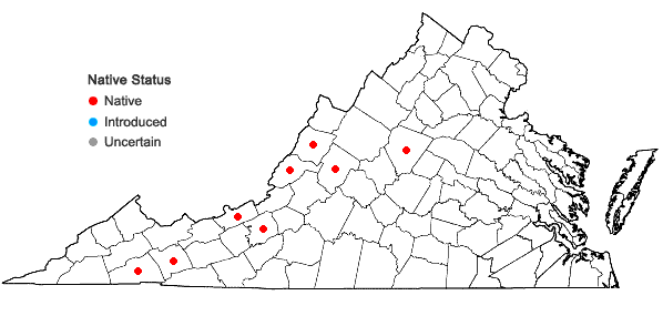 Locations ofCratoneuron filicinum (Hedw.) Spruce in Virginia