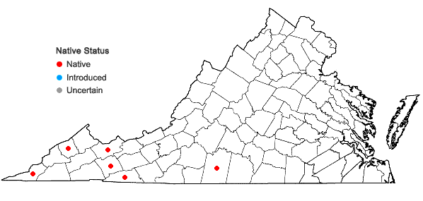 Locations ofCrepidomanes intricatum (Farrar) Ebihara & Weakley in Virginia
