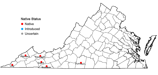 Locations ofCrepidomanes intricatum (Farrar) Ebihara & Weakley in Virginia