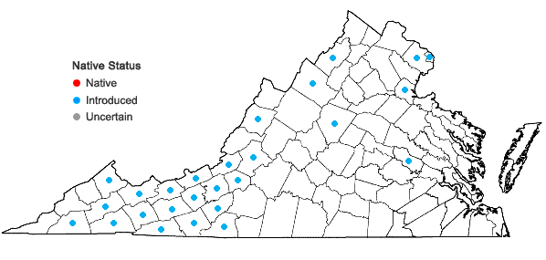 Locations ofCrepis capillaris (L.) Wallr. in Virginia