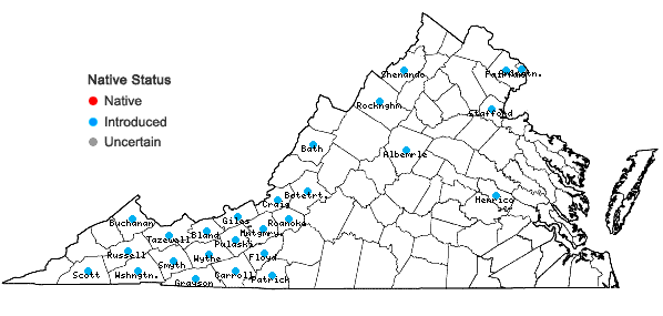 Locations ofCrepis capillaris (L.) Wallr. in Virginia