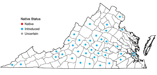 Locations ofCrepis pulchra L. in Virginia