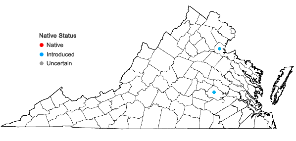 Locations ofCrepis tectorum L. in Virginia