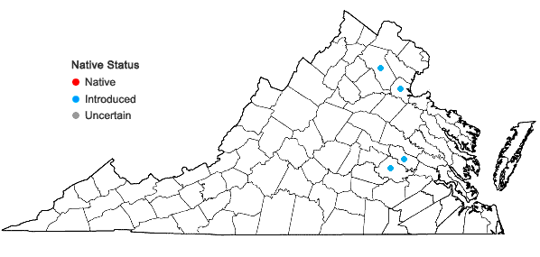 Locations ofCrepis tectorum L. in Virginia