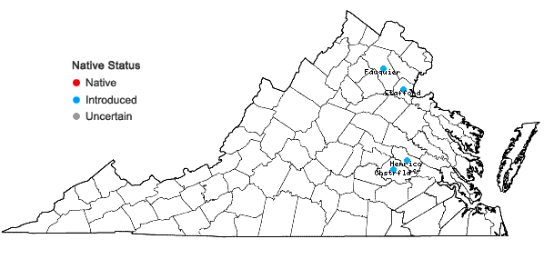 Locations ofCrepis tectorum L. in Virginia