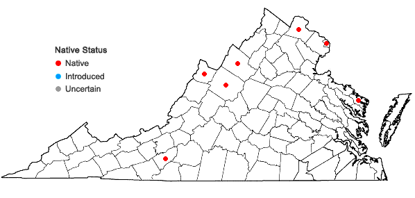 Locations ofCrocanthemum bicknellii (Fernald) Barnhart in Virginia